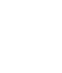 wt100