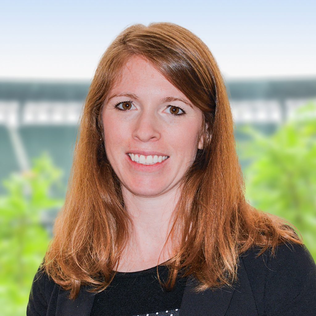 WhitingTurner VDC National Leader